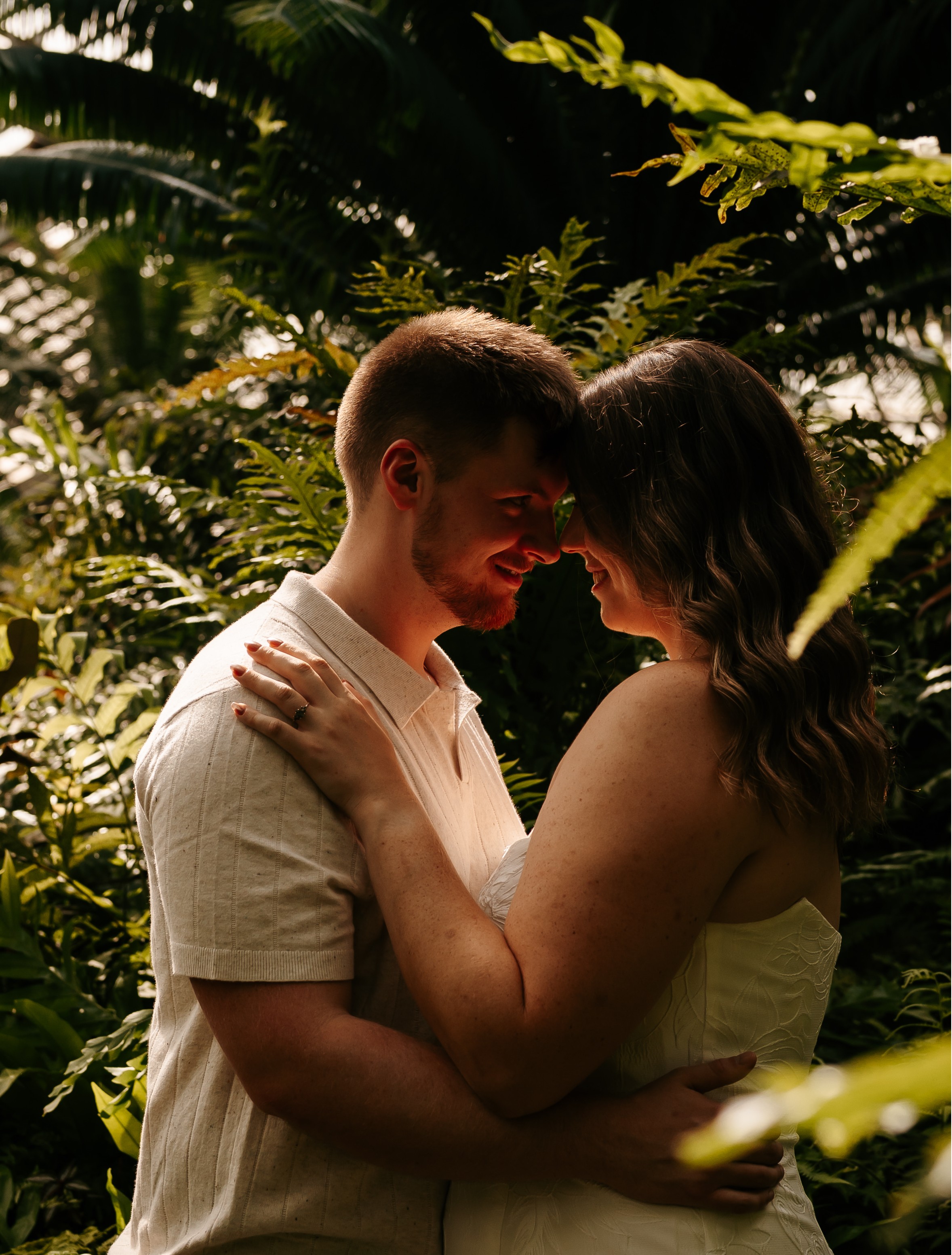 moody rainforest.JPG